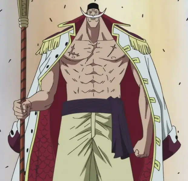 Ace bersama Whitebeard