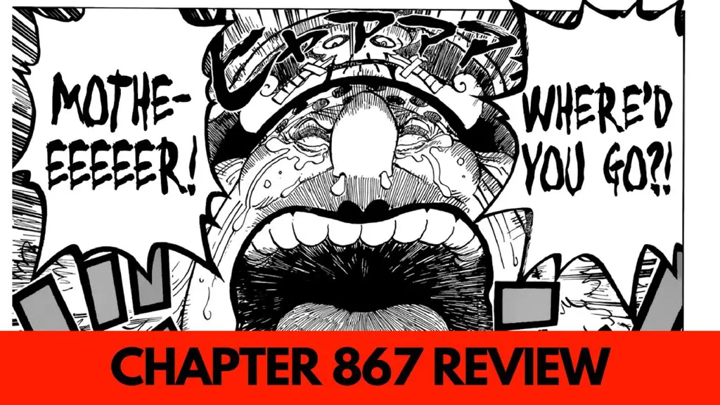 Gambar manga One Piece chapter yang relevan dengan episode 867