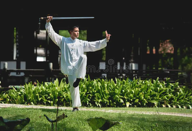 Adegan pertarungan bela diri tradisional Tionghoa