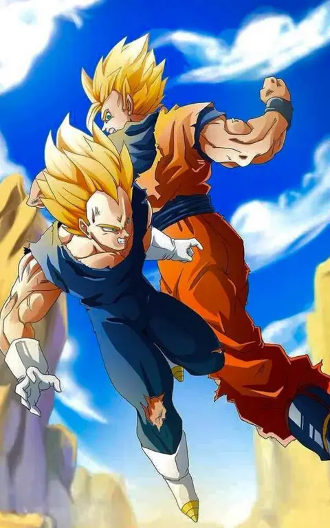 Goku dan Vegeta sedang bertarung