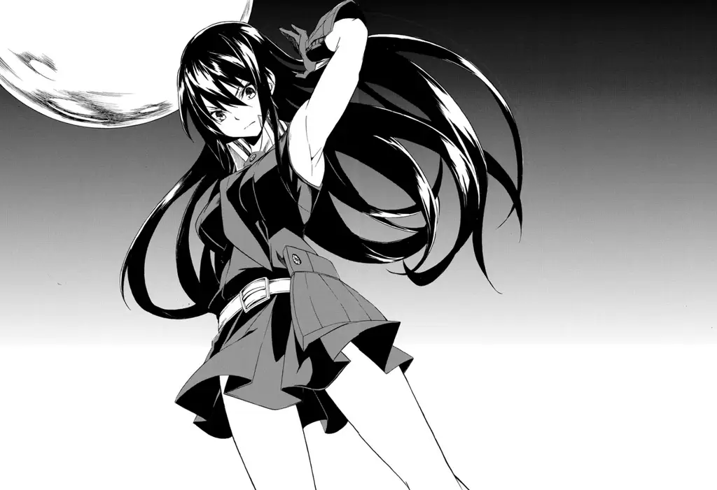 Akame dari Akame ga Kill