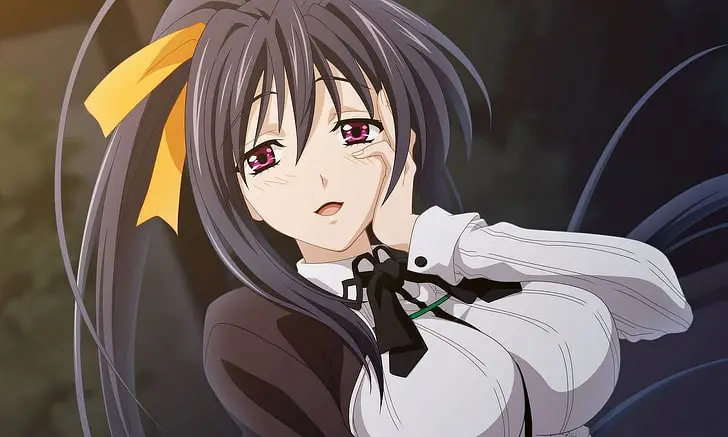 Akeno Himejima, salah satu karakter pendukung di High School DxD