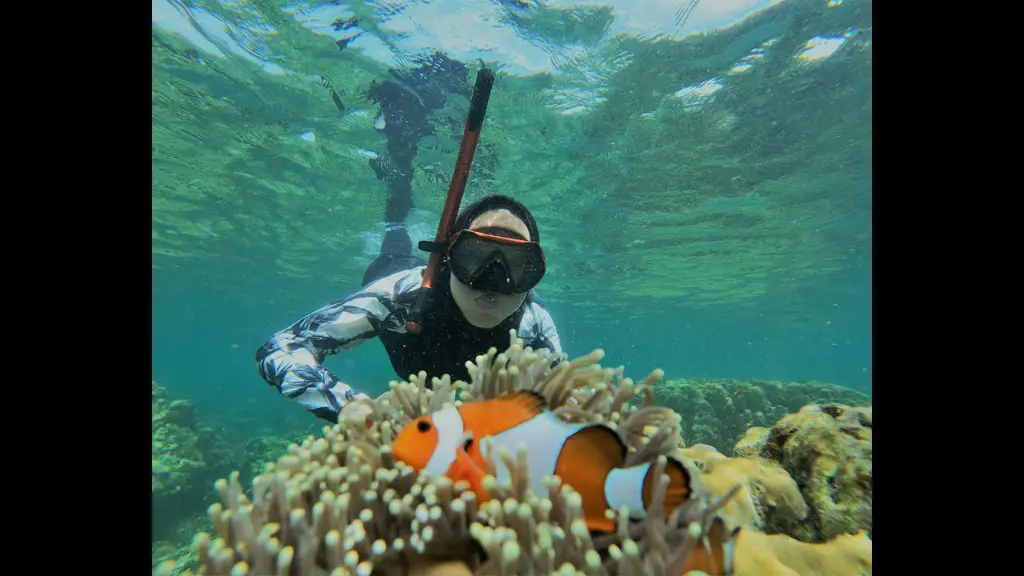 Snorkeling di Pulau Pahawang