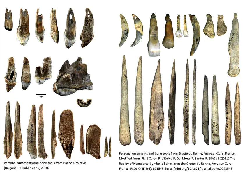 Berbagai macam alat yang digunakan oleh Homo Sapiens