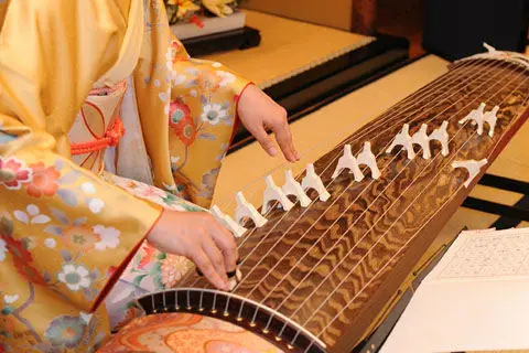 Gambar alat musik koto