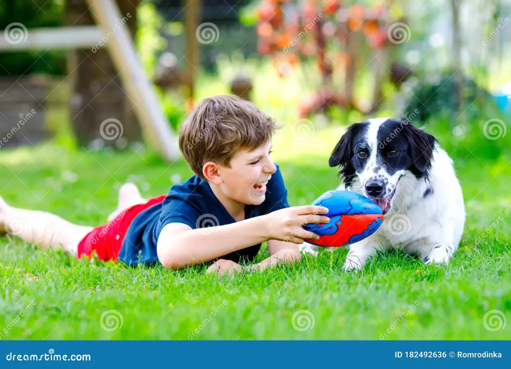 Anak-anak bermain dengan anjing