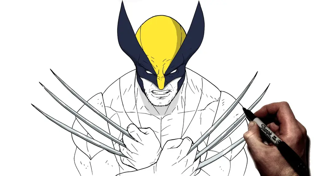 Anatomi wolverine