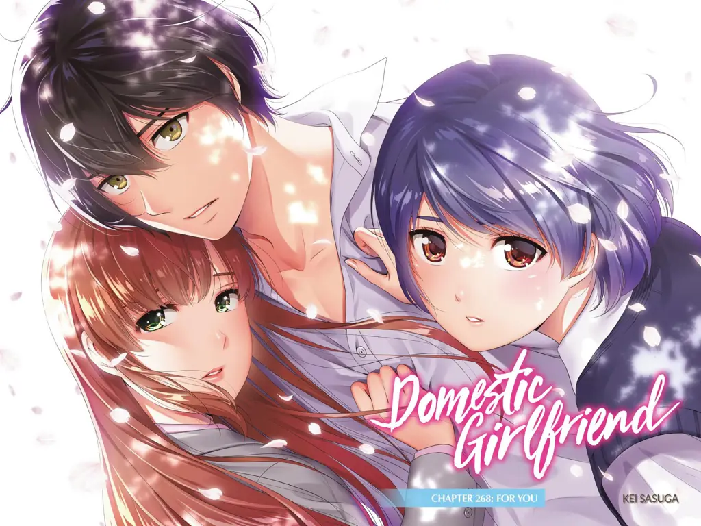 Perbandingan visual antara anime dan live action Domestic na Kanojo