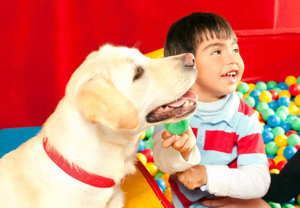 Gambar anjing terapi berinteraksi dengan anak