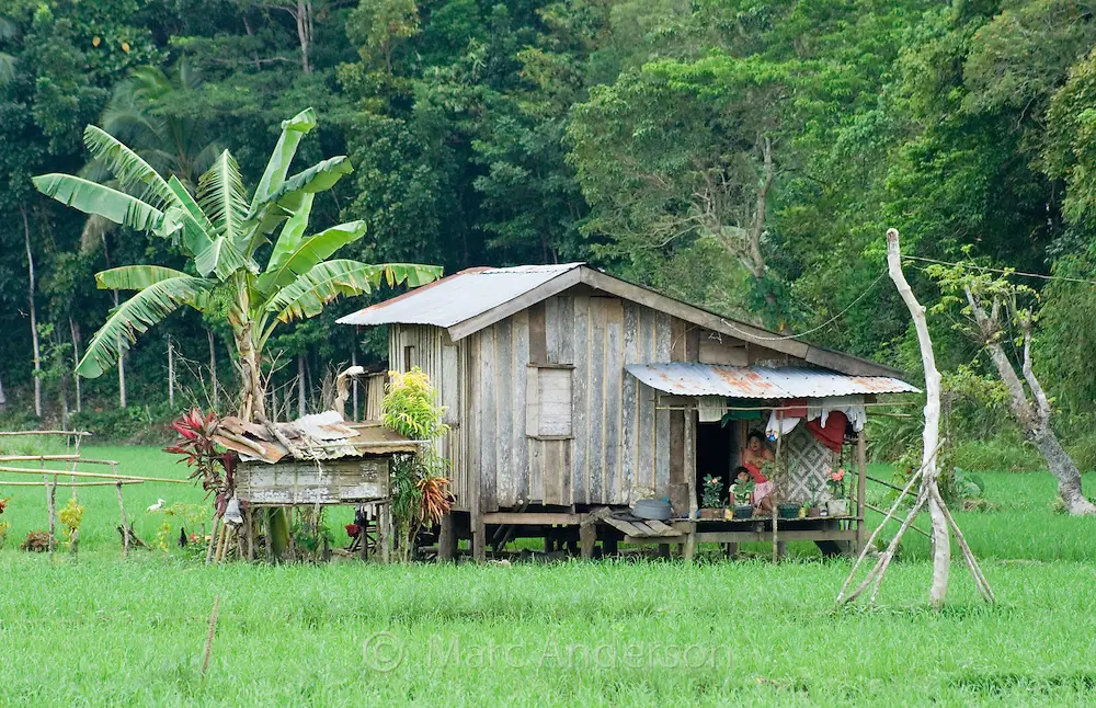 Rumah-rumah tradisional di Pekalongan