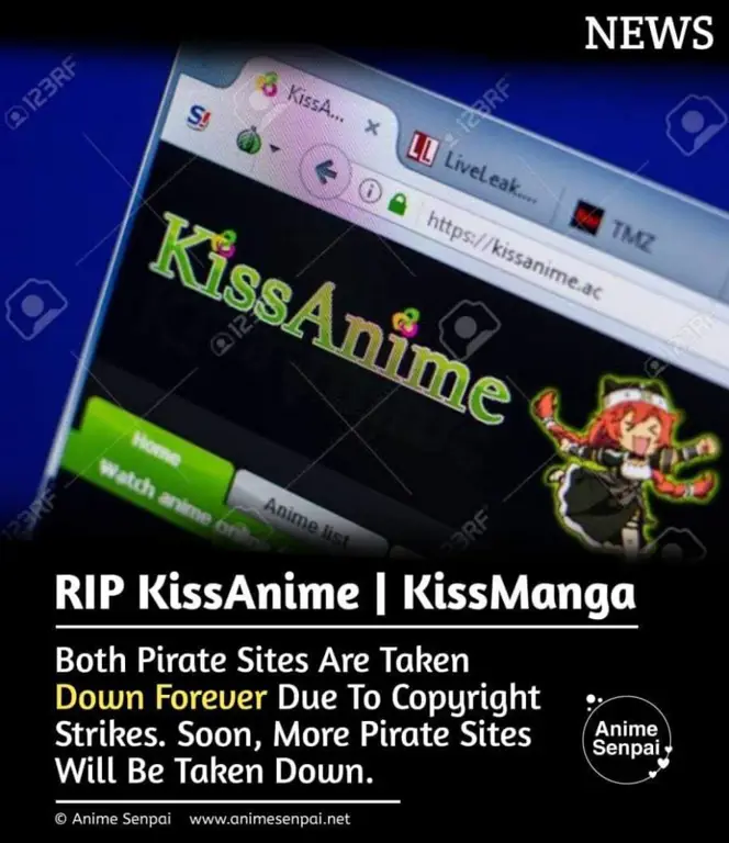 Ilustrasi situs streaming anime ilegal