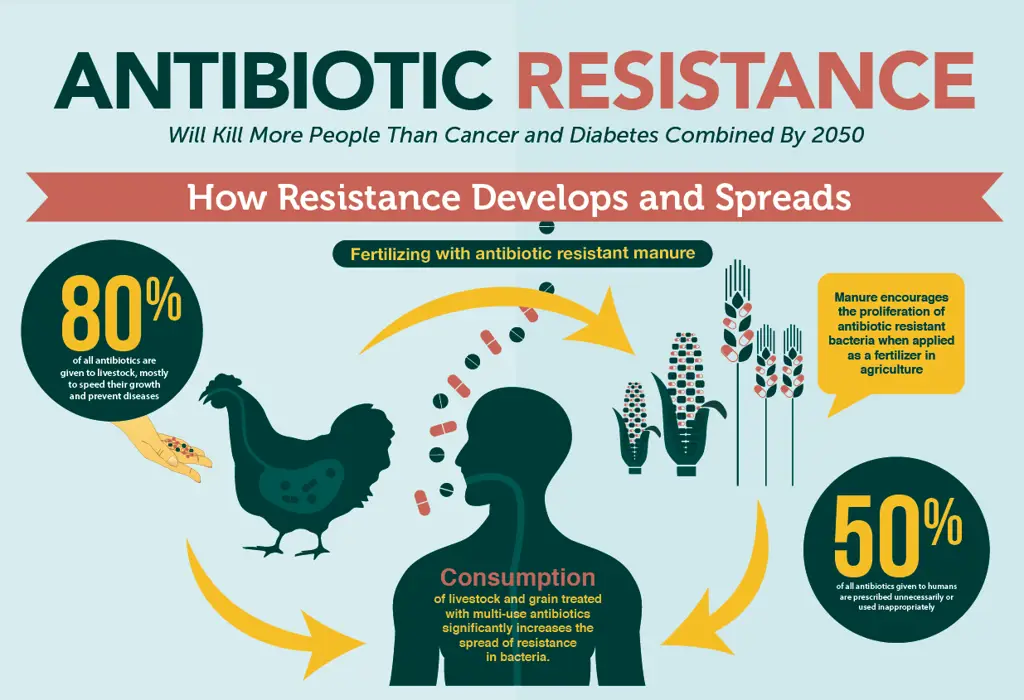 Resistensi antibiotik pada hewan