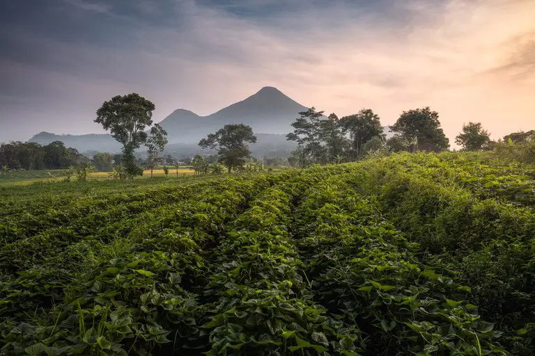 Pemandangan Jawa Timur dengan bandara di latar belakang