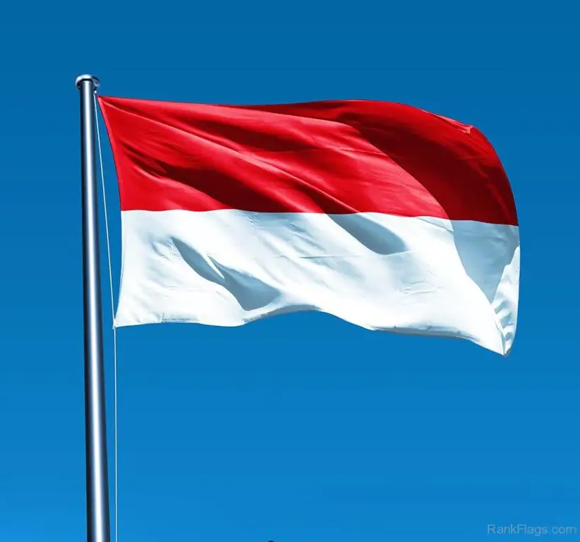 Bendera Indonesia dan buku-buku