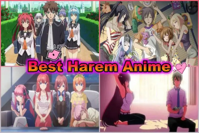 Karakter-karakter anime harem yang beragam