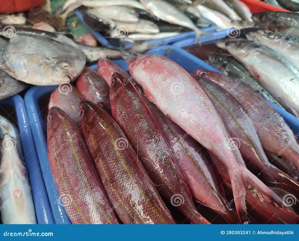 Pasar Ikan Segar Jakarta