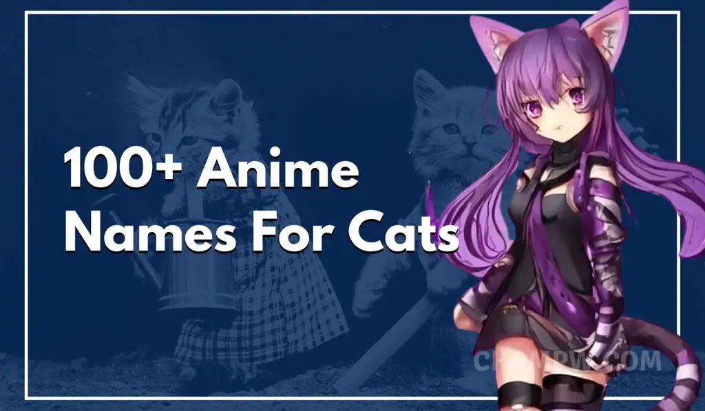 Daftar nama kucing anime