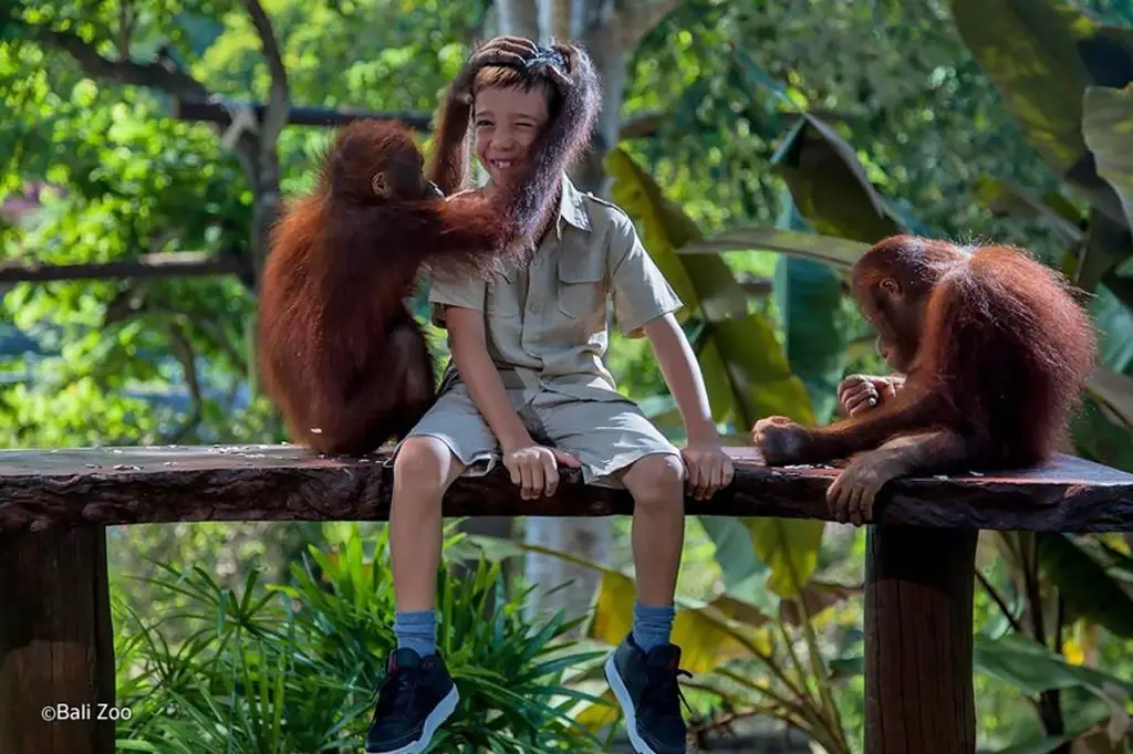 Program Bali Zoo Animal Encounters