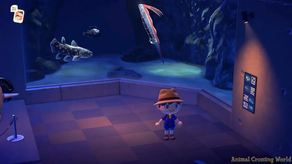 Gambar Museum Hewan di Animal Crossing: New Leaf dengan koleksi ikan