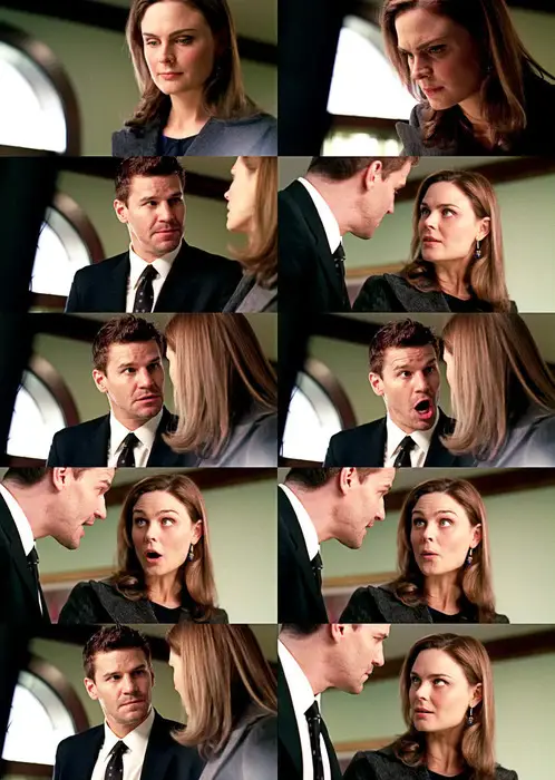 Gambar Brennan dan Booth dalam Bones