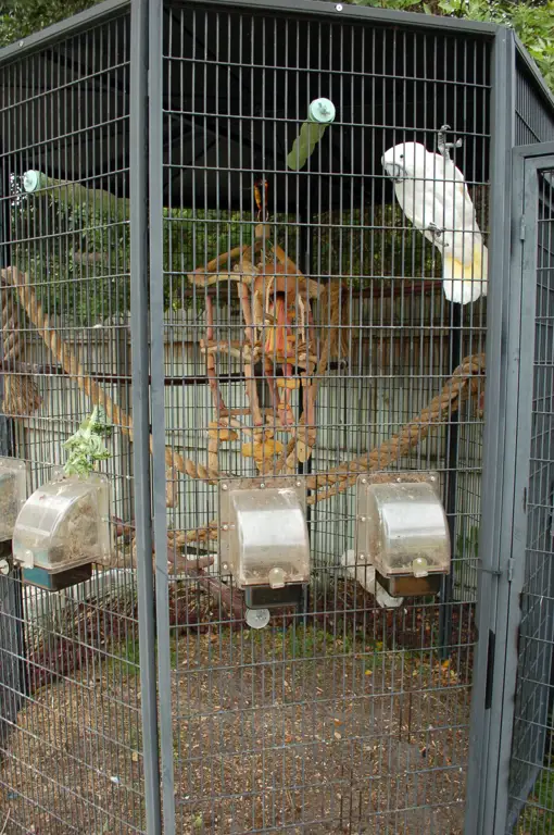 Kandangkan burung Kiwi di Queenstown Animal Park