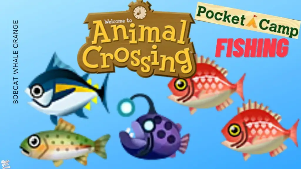 Tempat Memancing di Animal Crossing: Pocket Camp