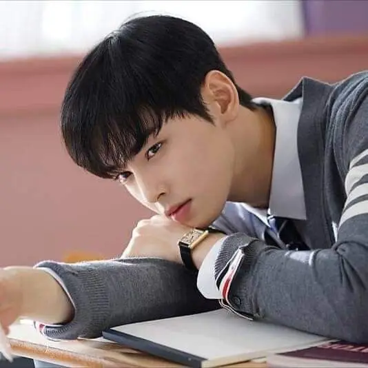 Cha Eun-woo sebagai Lee Su-ho