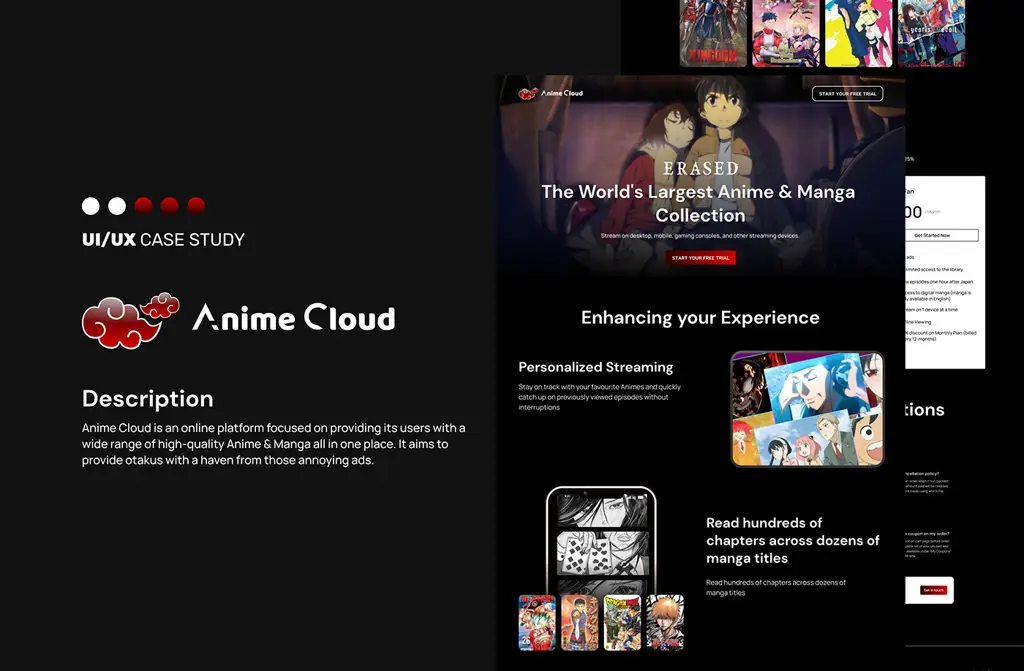 Antarmuka platform streaming anime