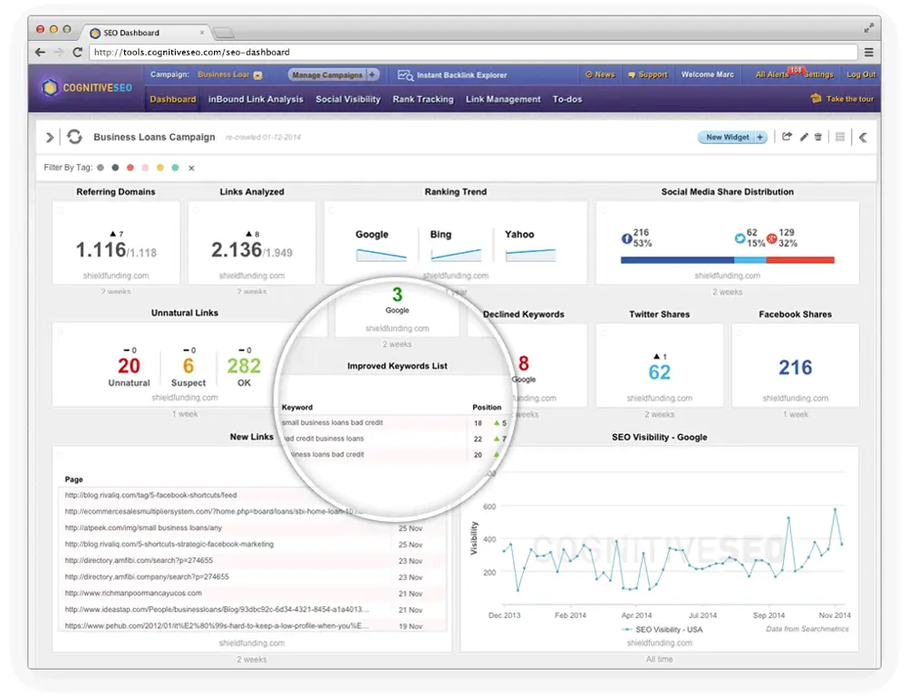 Gambar dashboard SEO yang menampilkan data penting