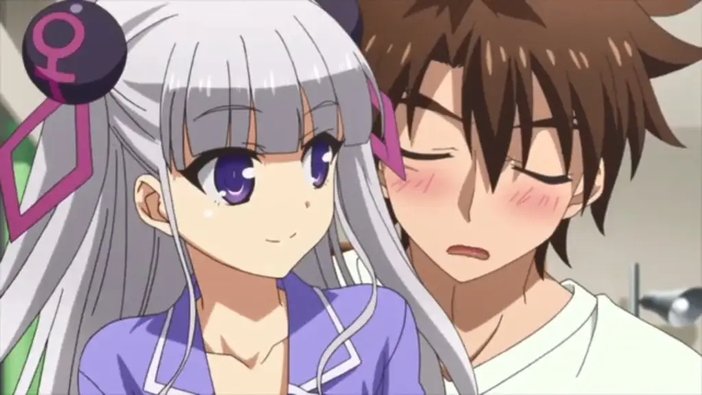Gambar Mio dan Maria dari anime The Testament of Sister New Devil