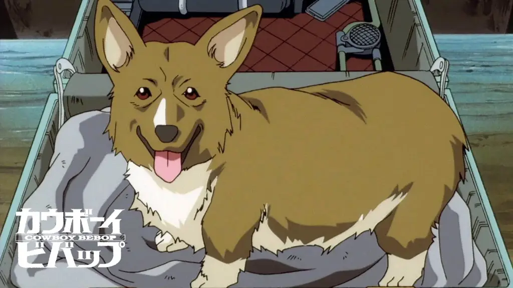 Gambar Ein, anjing data dalam Cowboy Bebop