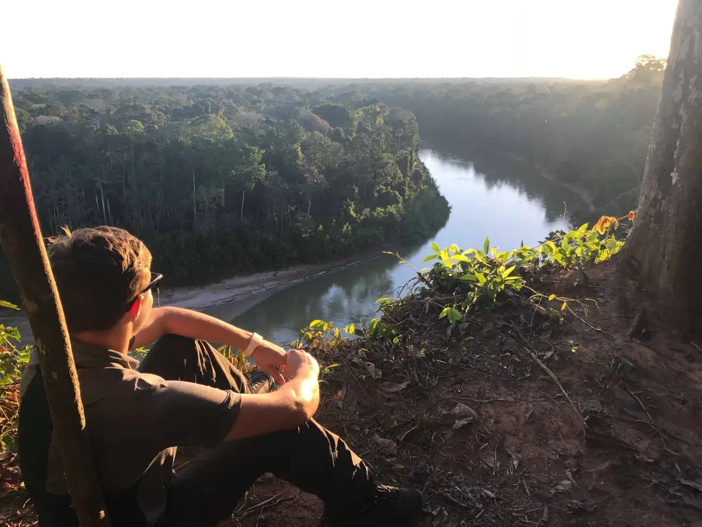 Tim ekspedisi hutan hujan Amazon