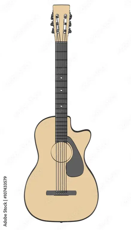 Berbagai gaya gambar gitar 2D