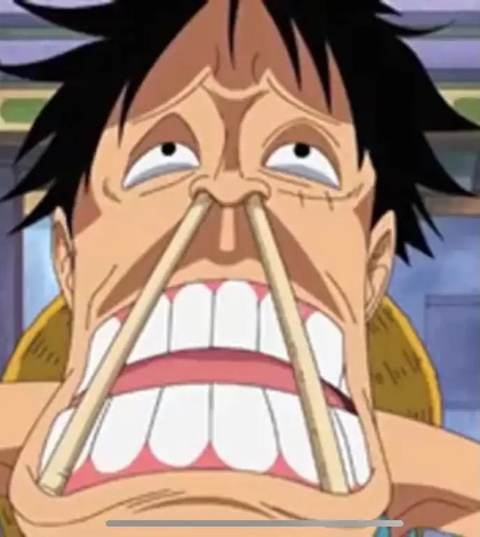 Foto-foto wajah lucu Luffy