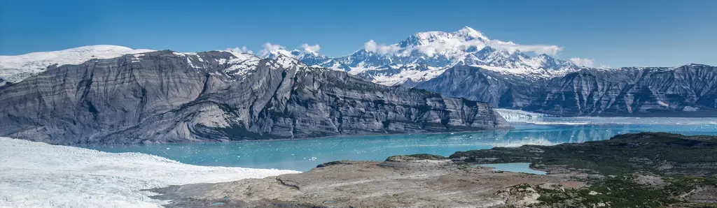 Elang botak di Taman Nasional Wrangell-St. Elias