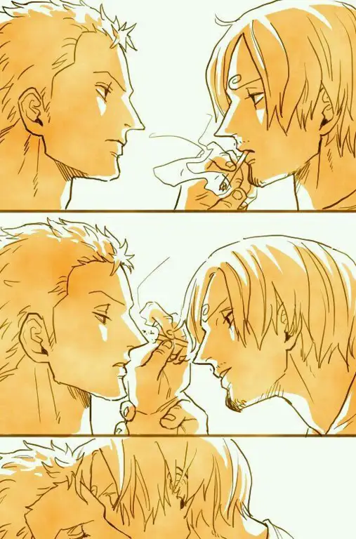 Gambar fanart Zoro dan Sanji yang sopan