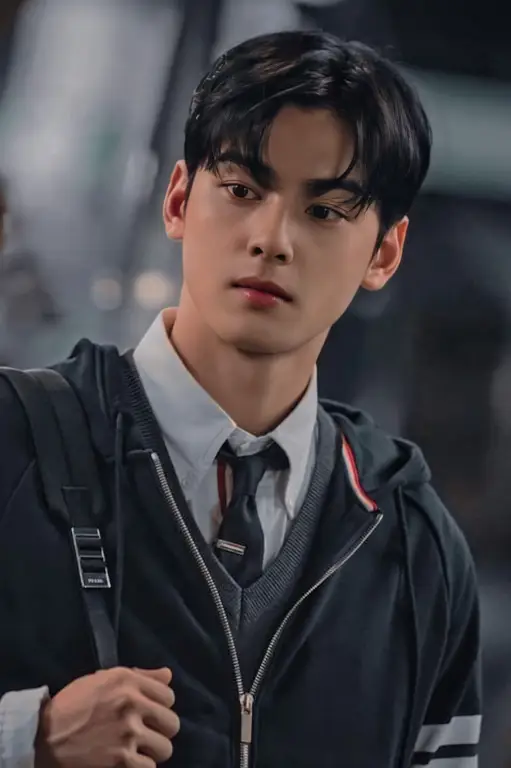 Cha Eun-woo sebagai Lee Su-ho dalam True Beauty