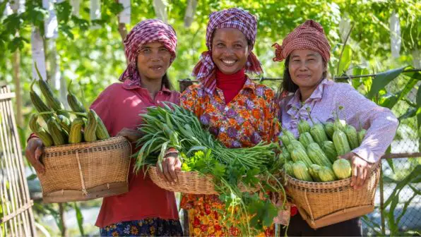 Petani Kamboja di sawah mereka