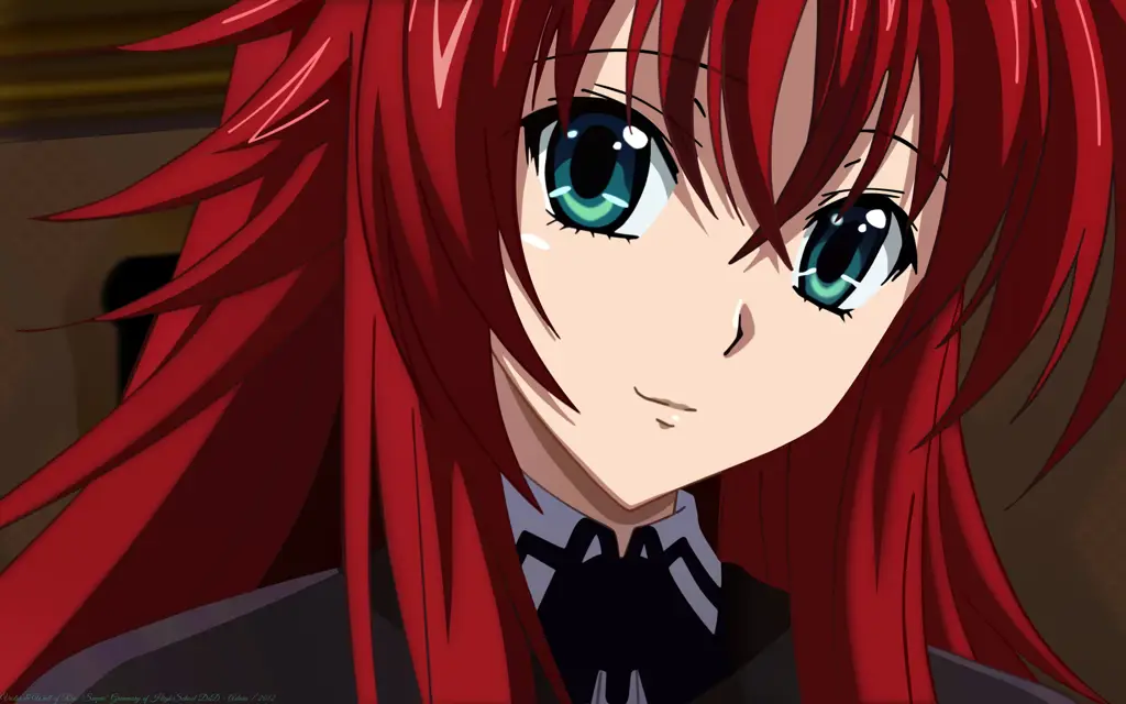 Karakter-karakter dalam anime Highschool DxD