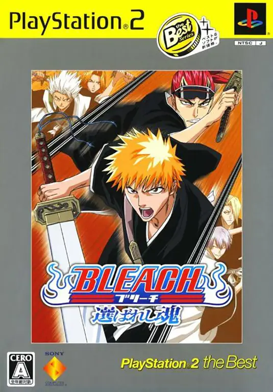 Gambar gameplay Bleach Selected Souls di PS2