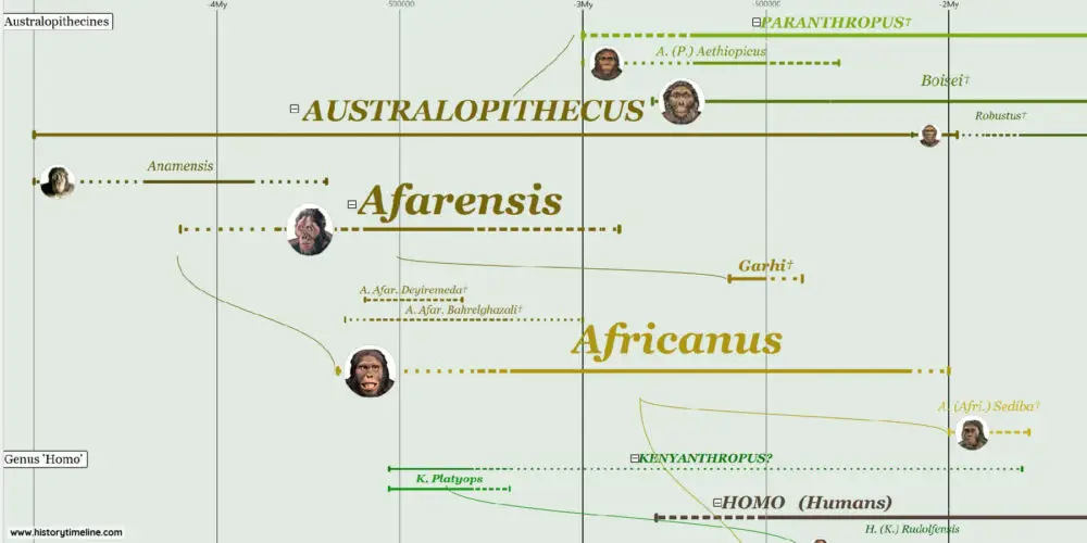 Gambar garis waktu evolusi manusia