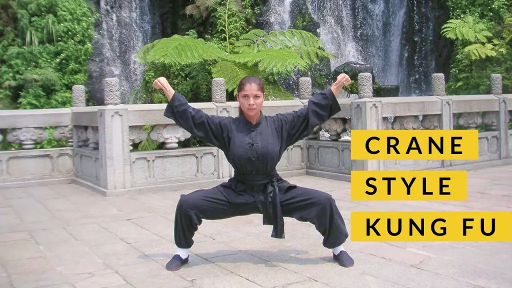 Foto seorang praktisi kung fu yang menunjukkan pose gaya bangau