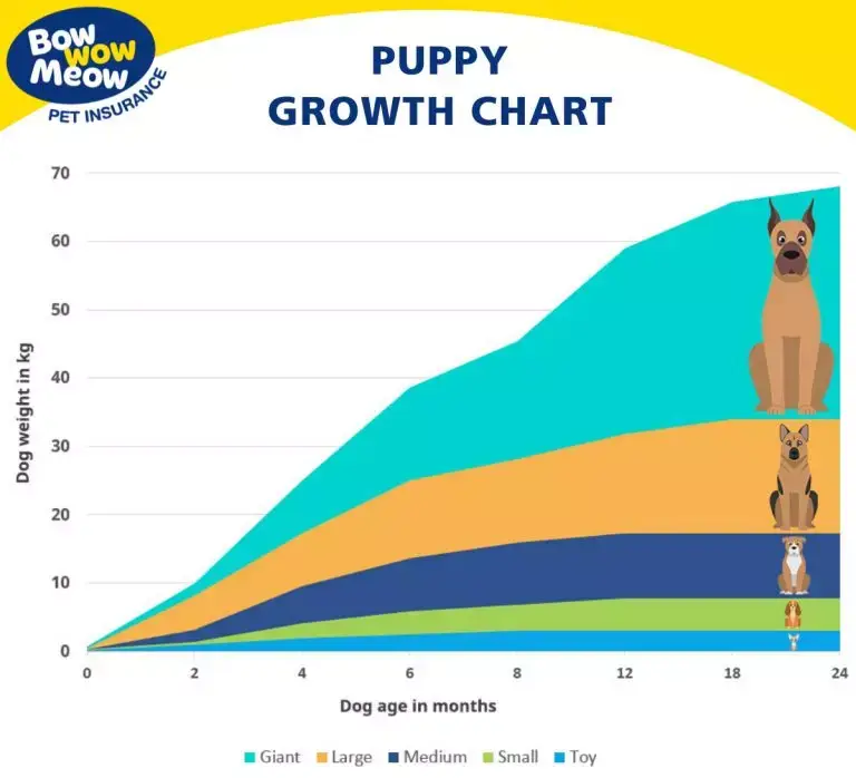 Grafik pertumbuhan hewan yang menunjukkan berbagai tahapan pertumbuhan