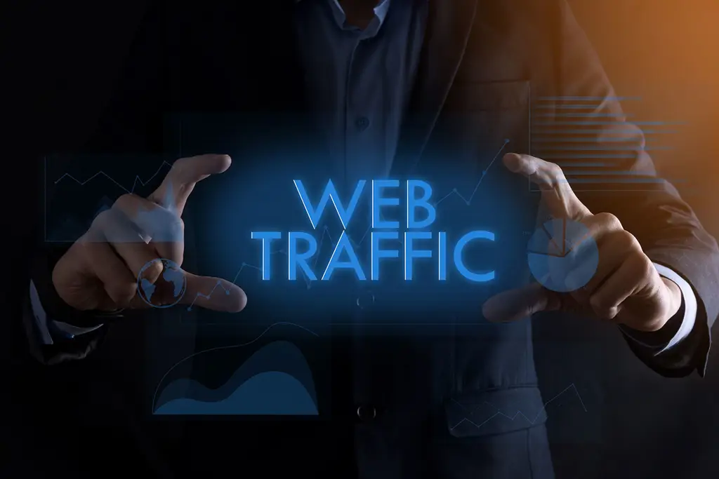 Statistik trafik website