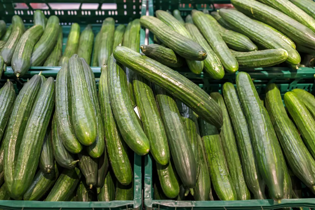 Hasil panen sayur-sayuran yang segar