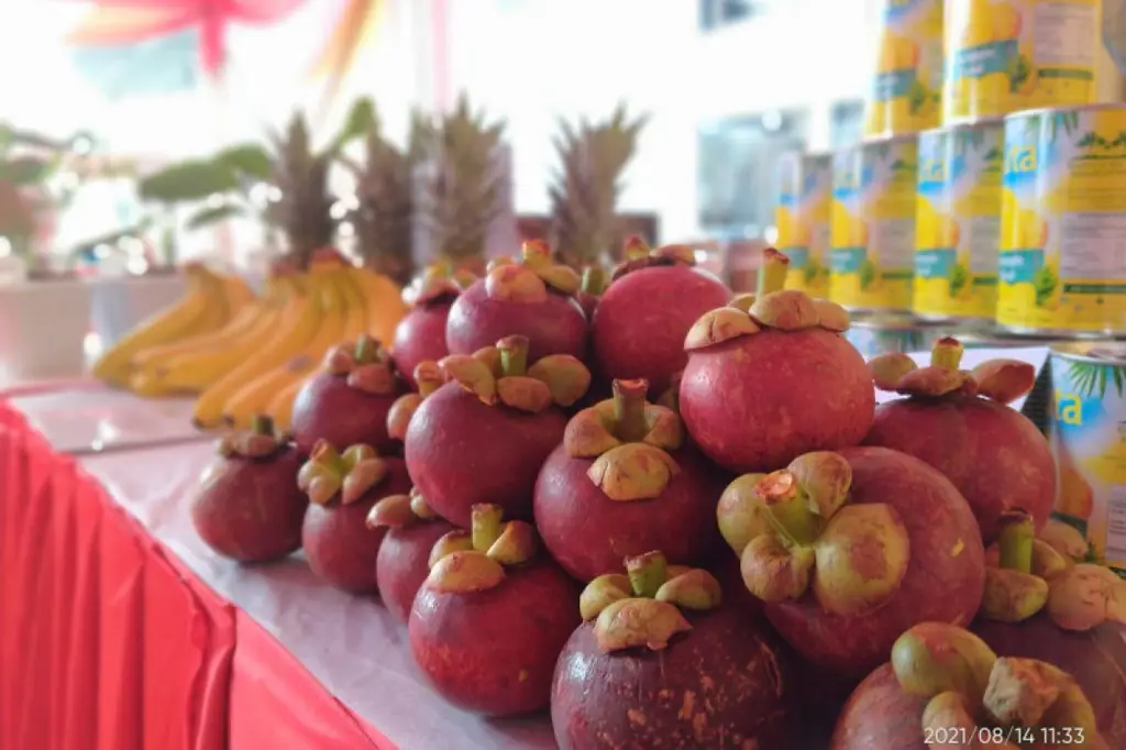 Produk pertanian Lampung yang diolah di pabrik