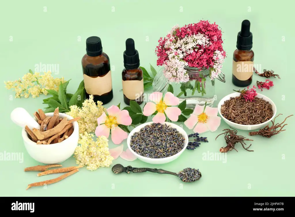 Berbagai macam herbal dan bunga penyembuh