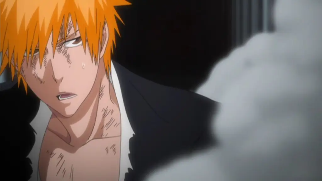 Ichigo Kurosaki dalam Bleach 192