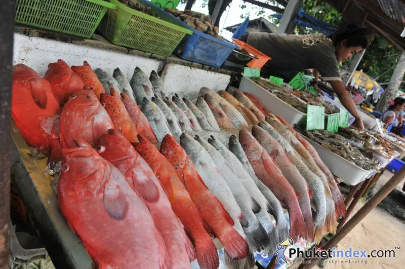 Aneka hasil laut segar di Pasar Bandar Pacitan