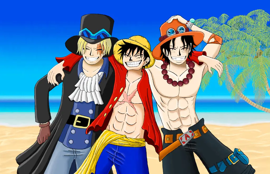 Luffy dan Ace bersaudara, ikatan persaudaraan yang kuat